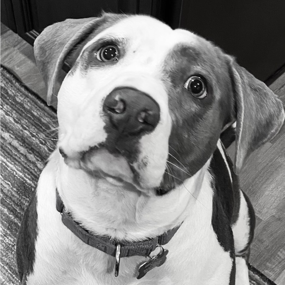 I’m Stefanie Rae! - Picture 8 of 11